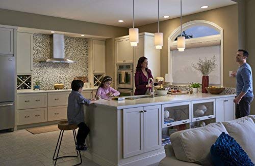 Smart Lighting Dimmer Switch Starter Kit