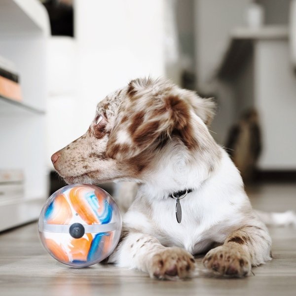 Smart Pet Ball