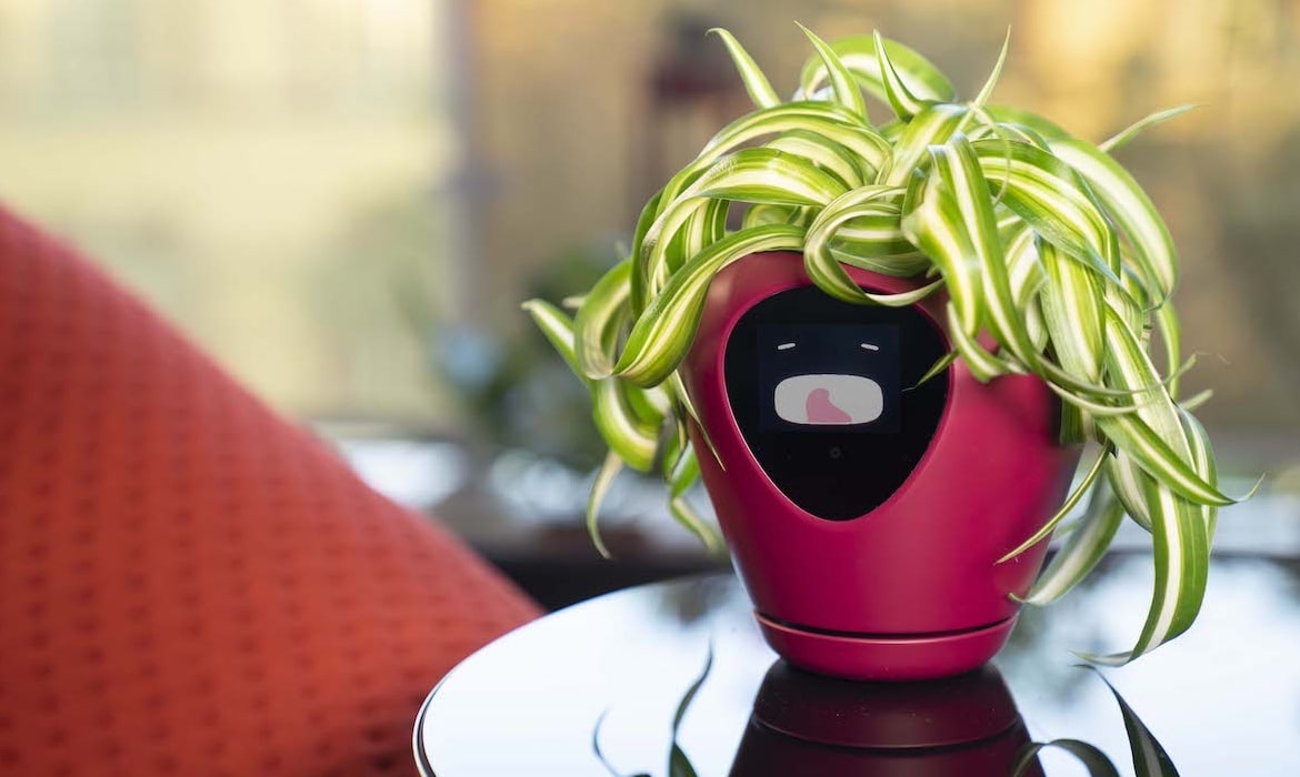 Smart Planter with Feelings