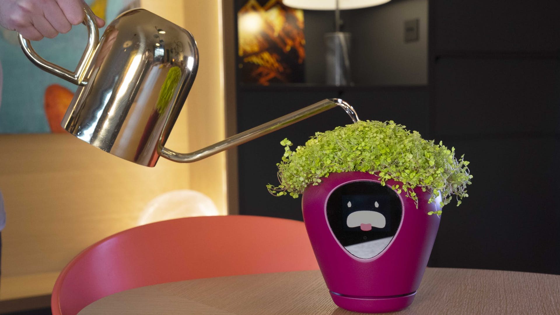 Smart Planter with Feelings