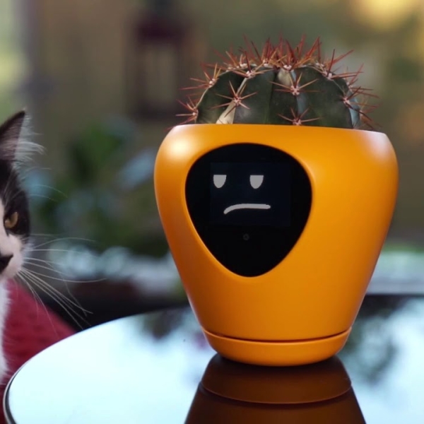 Smart Planter with Feelings