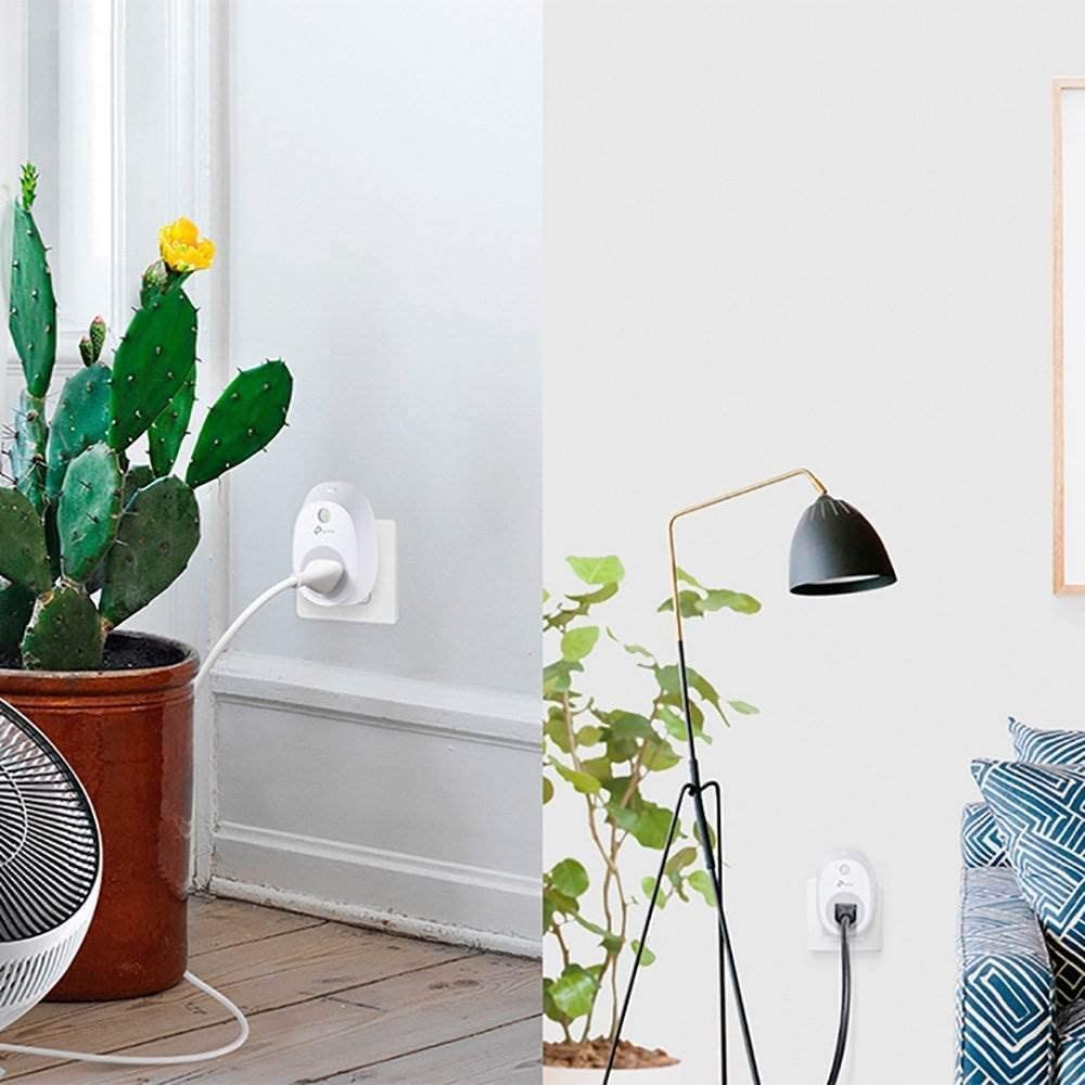 Smart Plug and Outlet