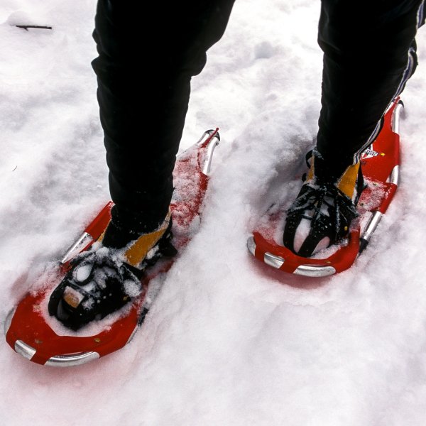 Snowshoes