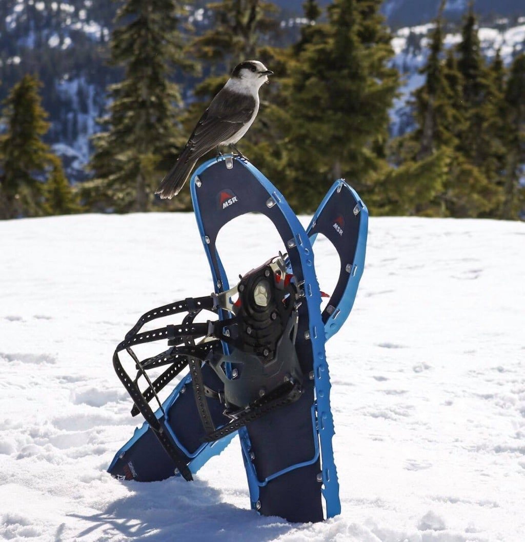 Snowshoes