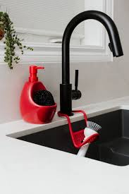 Soap Pump and Scrubby Holder