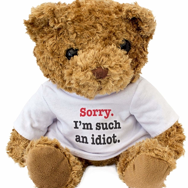 teddy bear with sorry message