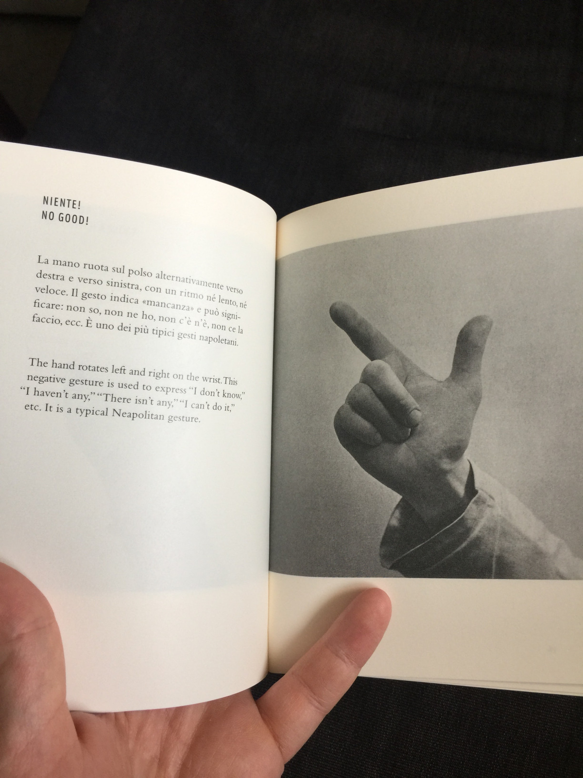 Speak Italian : The Fine Art of the Gesture