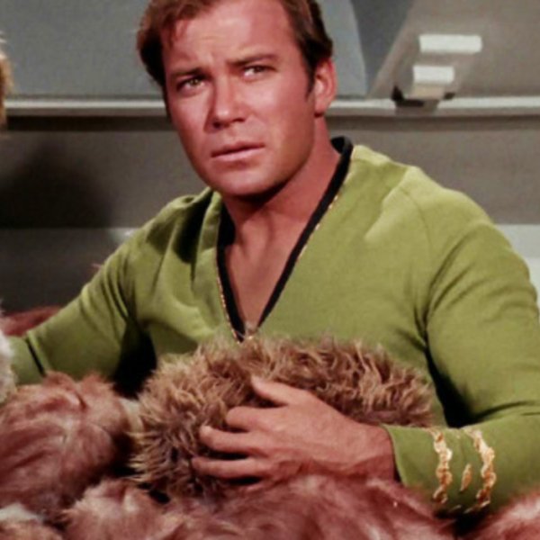 Star Trek Interactive Tribbles