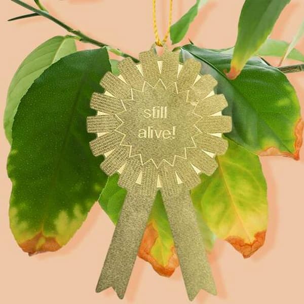 Still Alive Plant Award Ornament