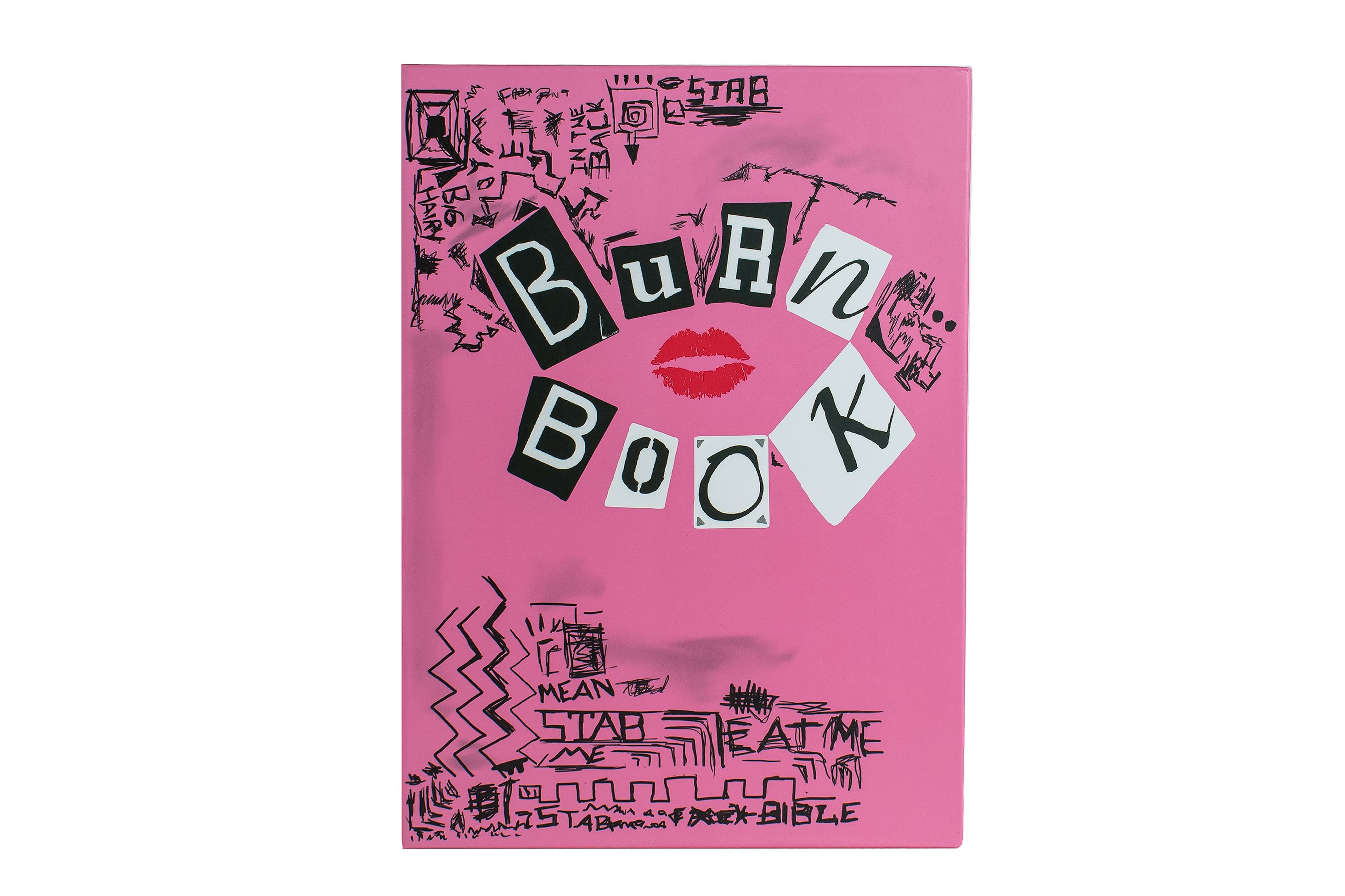 Storybook x Mean Girls Burn Book Palette
