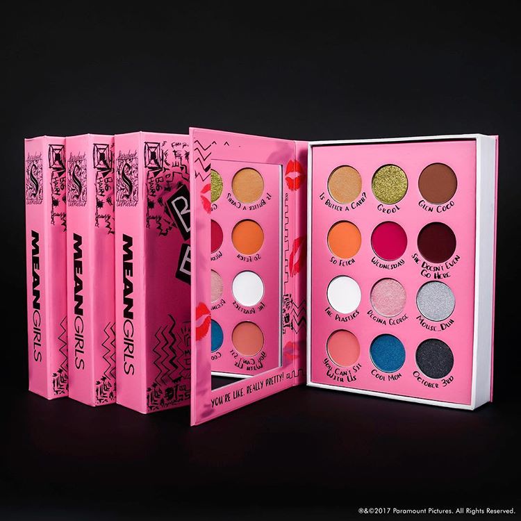 Storybook x Mean Girls Burn Book Palette