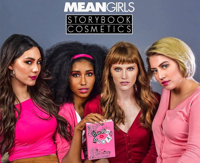 Storybook x Mean Girls Burn Book Palette