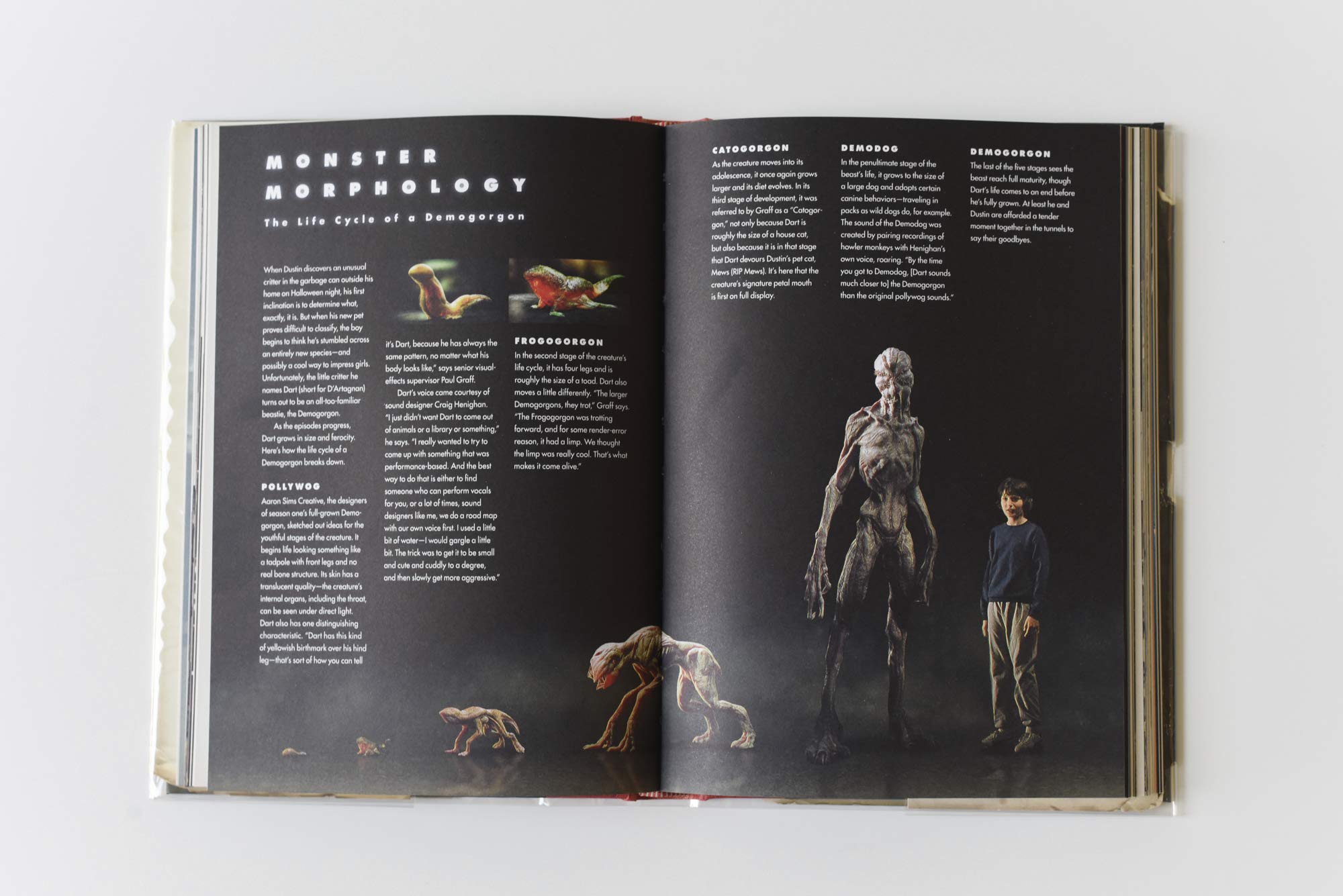 Stranger Things: The Official Behind-the-Scenes Companion