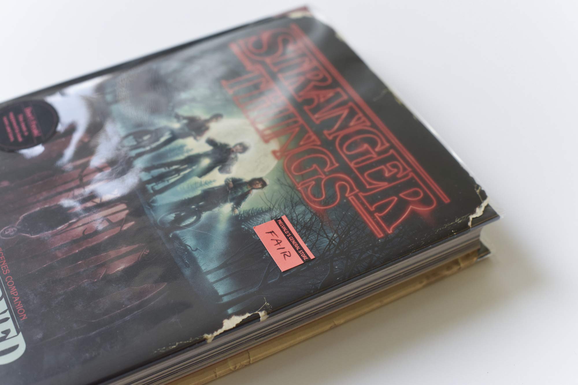 Stranger Things: The Official Behind-the-Scenes Companion