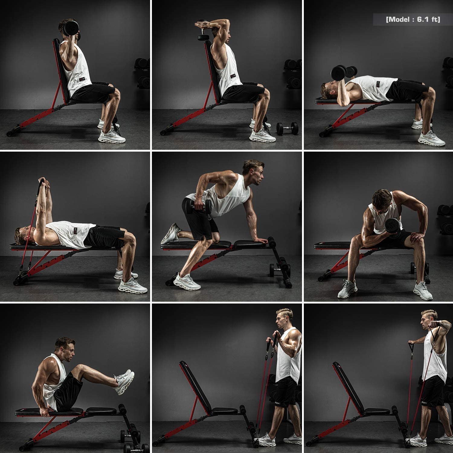 Strength Training Bench