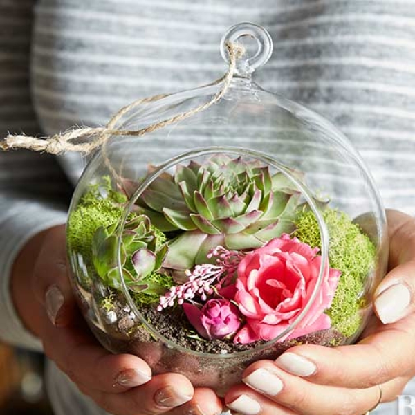 Succulent Terrarium