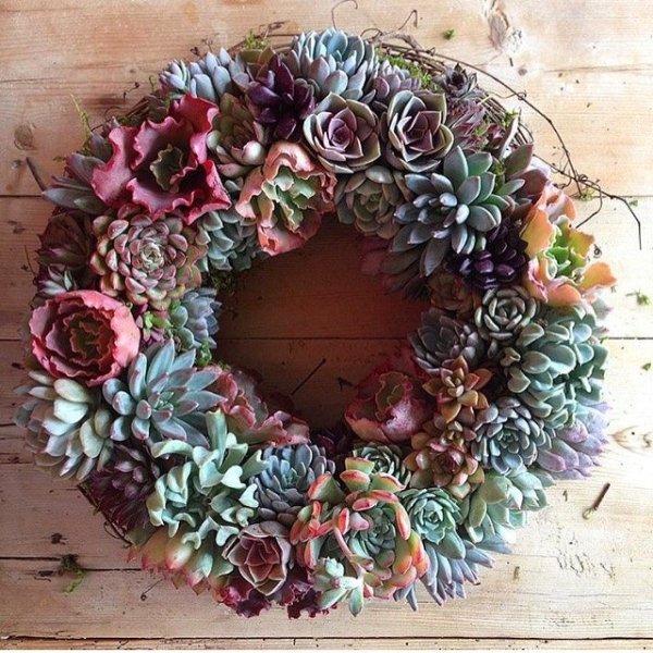 Succulent Wreath