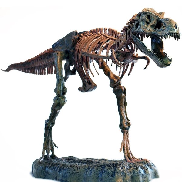 T-Rex Model