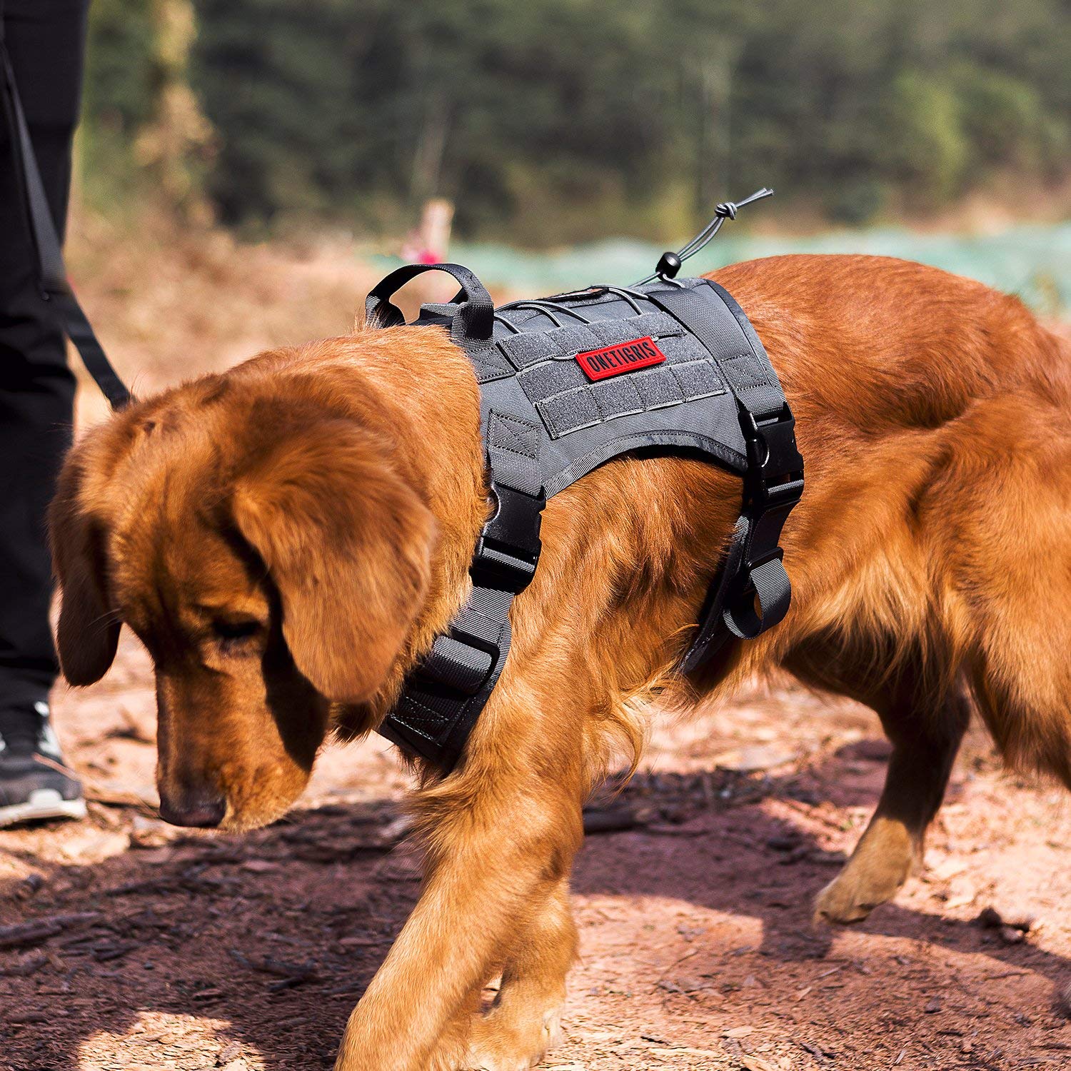 Tactical Service Dog Vest