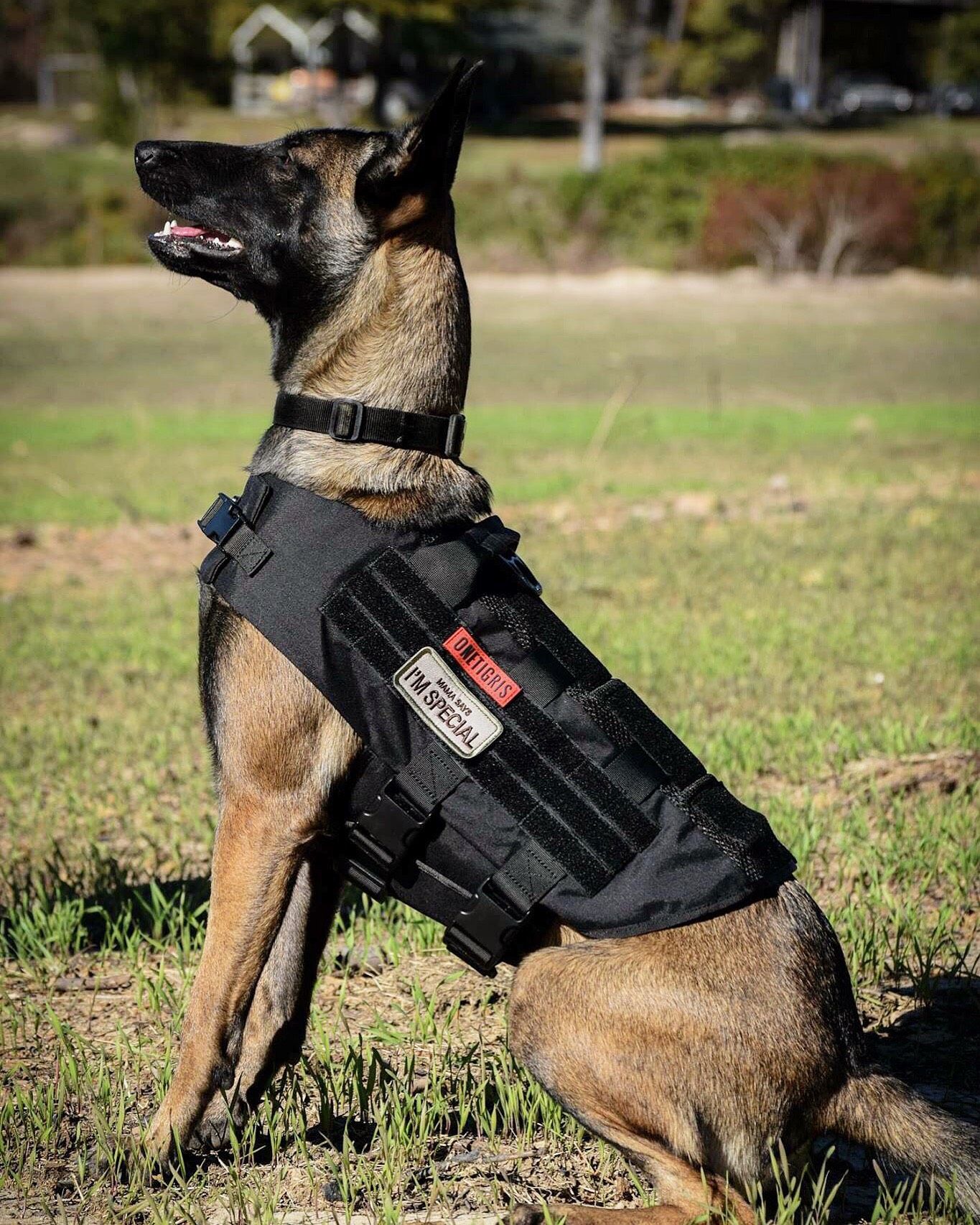 Tactical Service Dog Vest