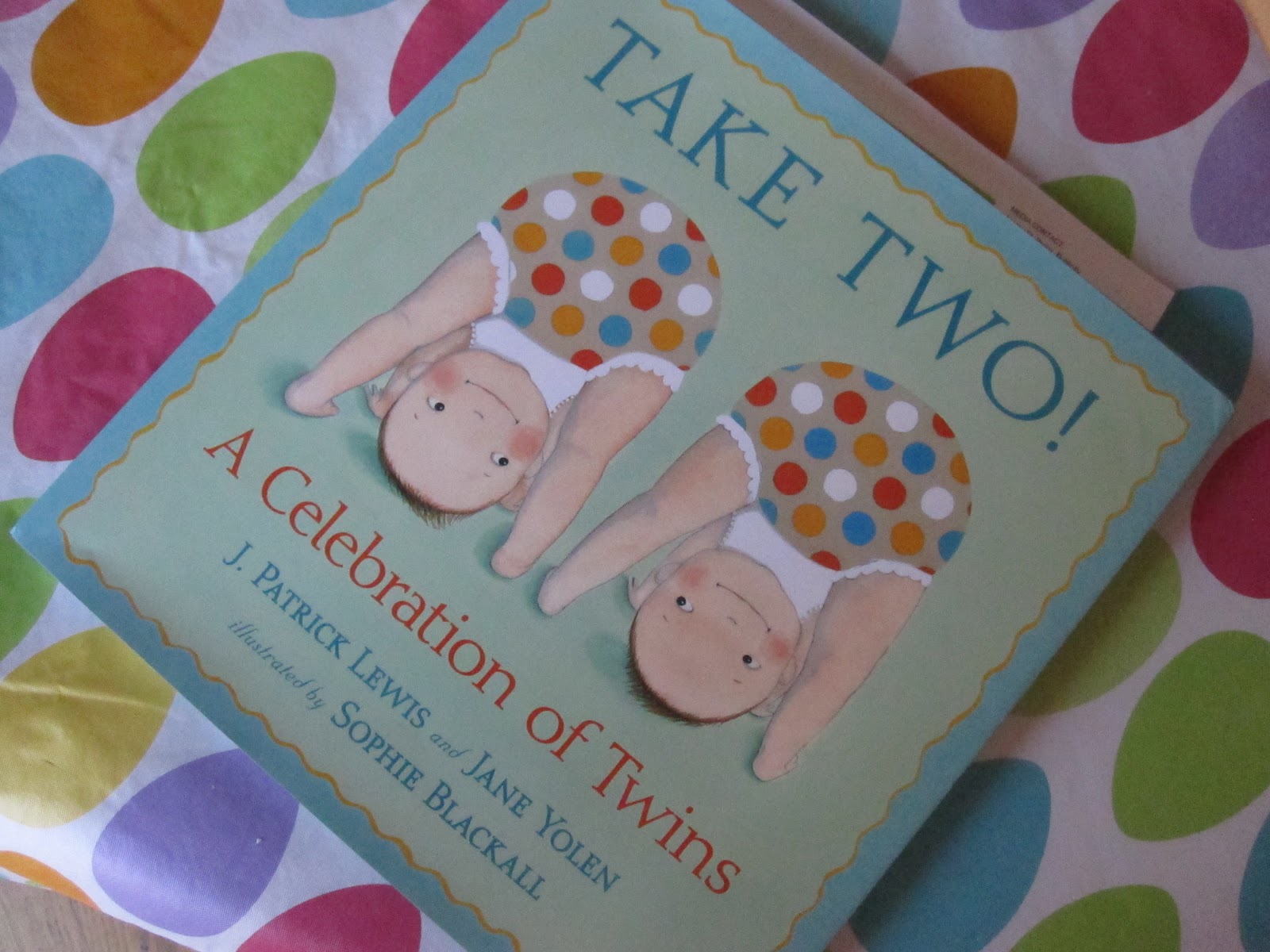 Take Two!: A Celebration of Twins