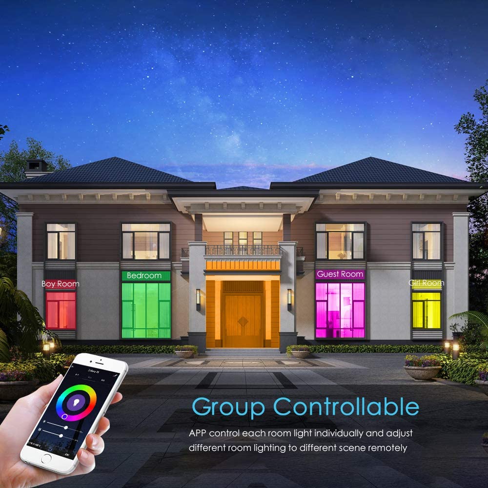 Taloya Alexa Ceiling Light