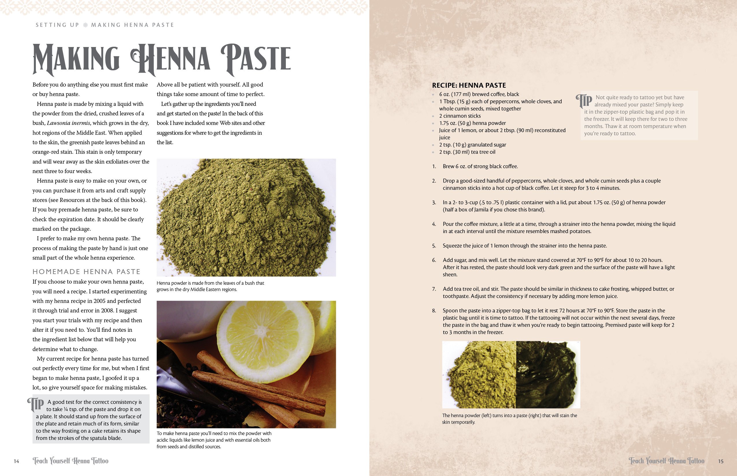 Teach Yourself Henna Tattoo: Making Mehndi Art with Easy-to-Follow Instructions