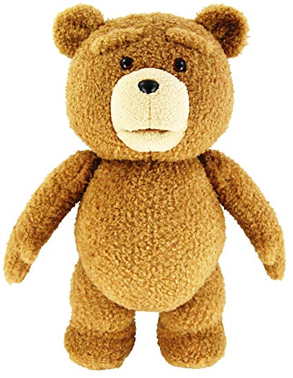 Ted 24