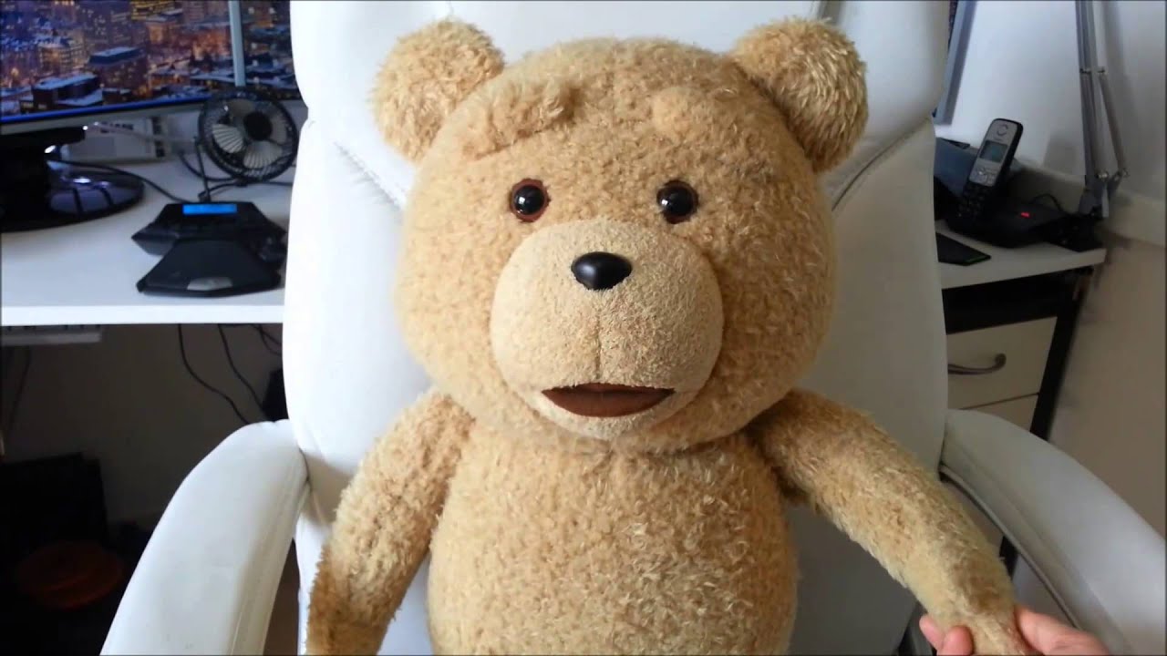 Ted 24