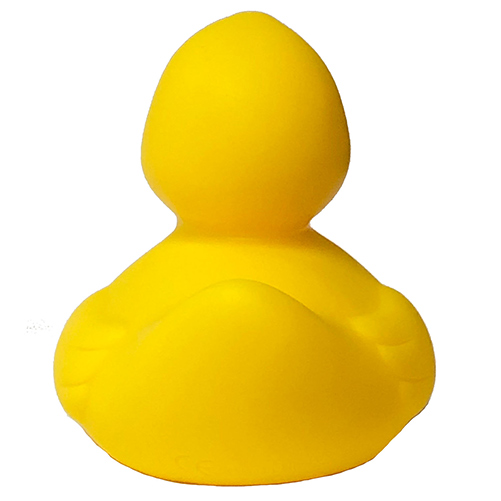 Thank You Rubber Duck