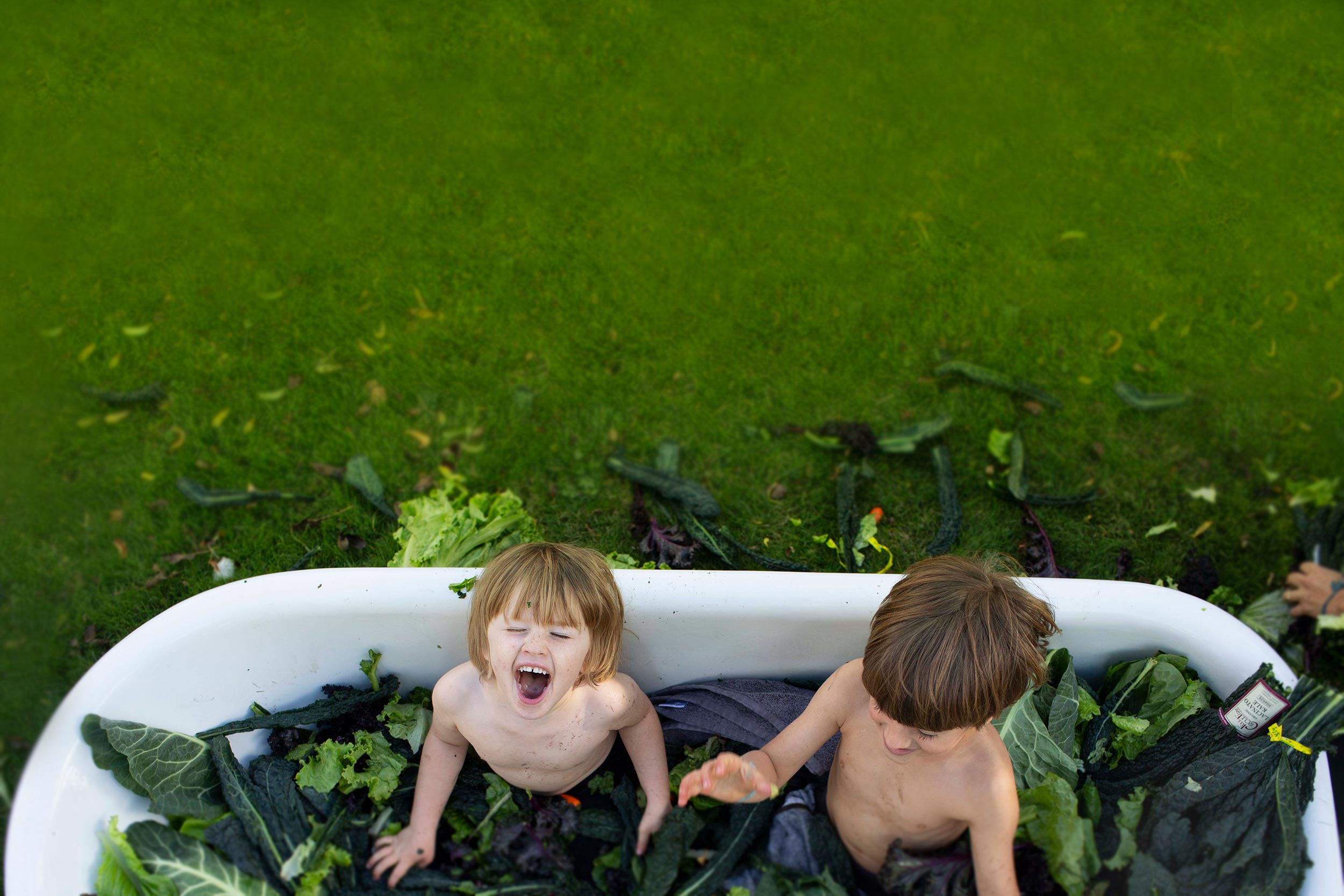 The Adventurous Eaters Club: Mastering the Art of Family Mealtime by Misha Collins