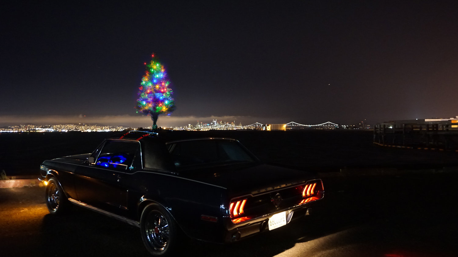 The Car Top Christmas Tree