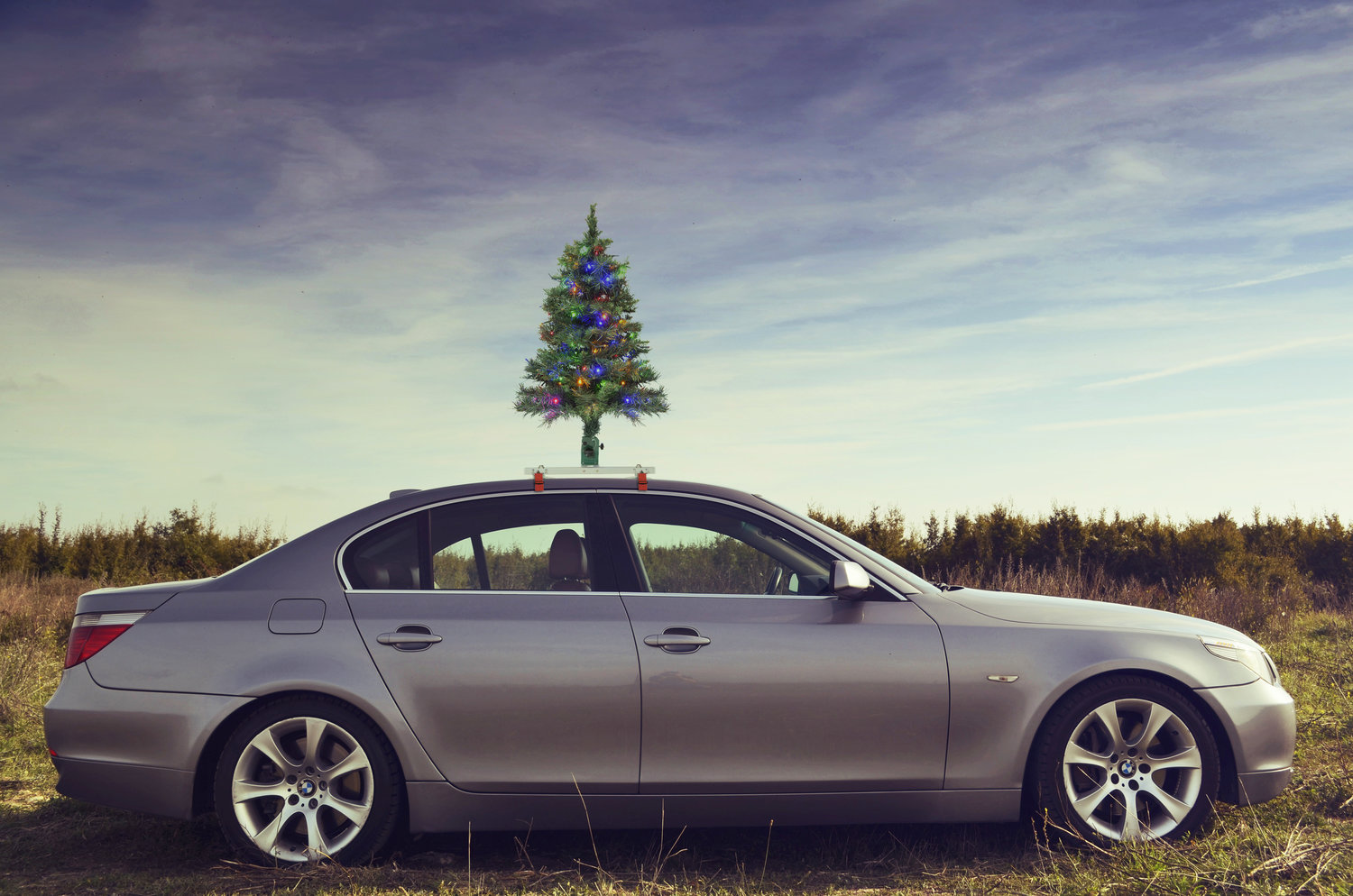 The Car Top Christmas Tree