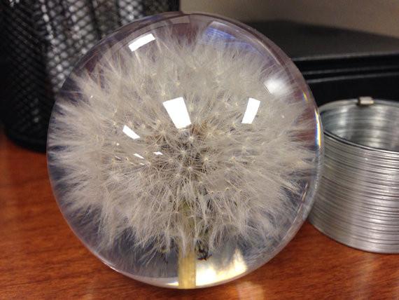 The Original Dandelion Paperweight