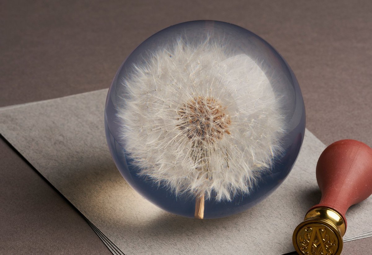 The Original Dandelion Paperweight