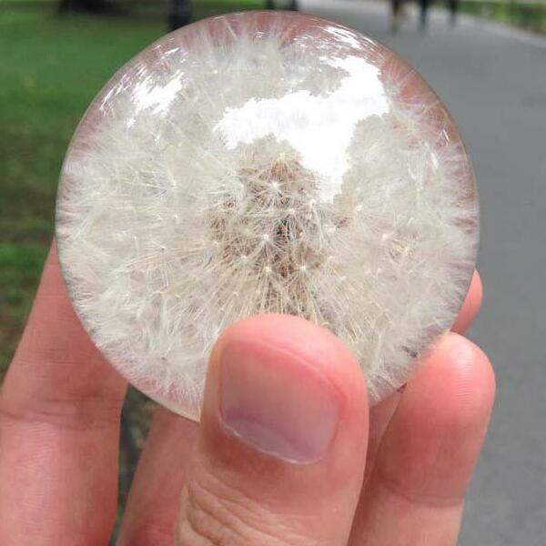 The Original Dandelion Paperweight