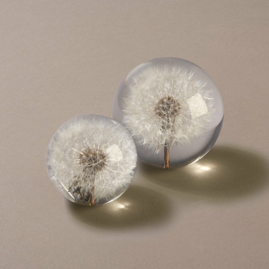 The Original Dandelion Paperweight