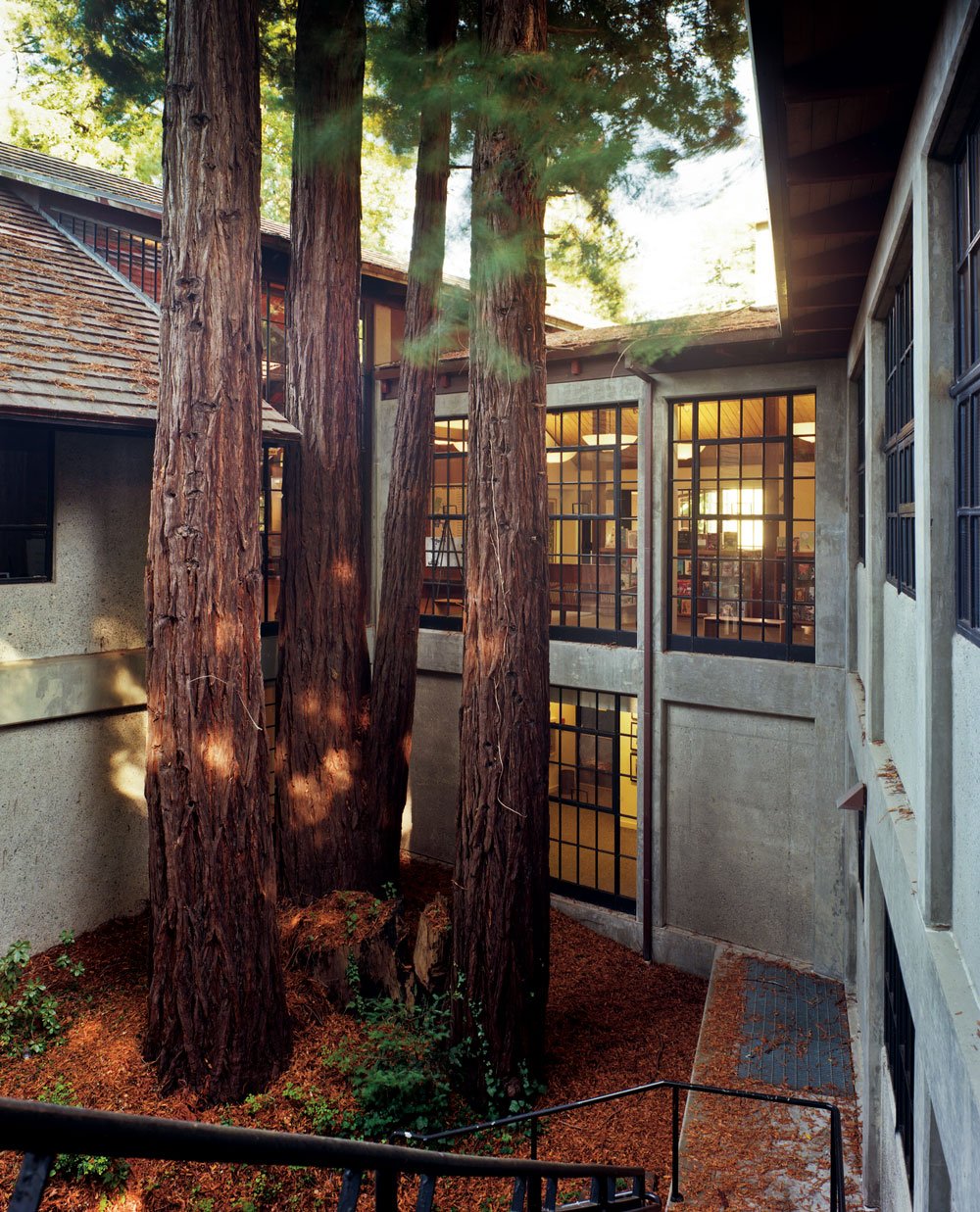 The Public Library: A Photographic Essay