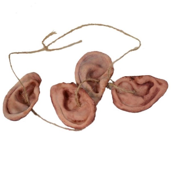 The Walking Dead TV Daryl Dixon Walker Ear Prop