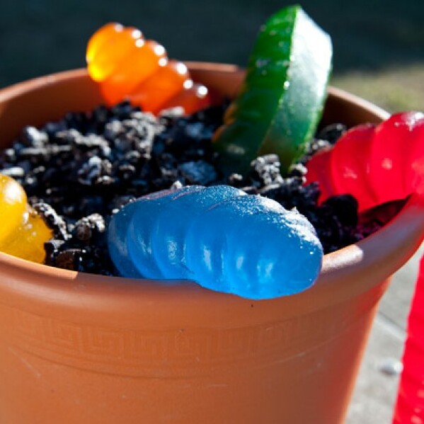 The World's Largest Gummy Worm