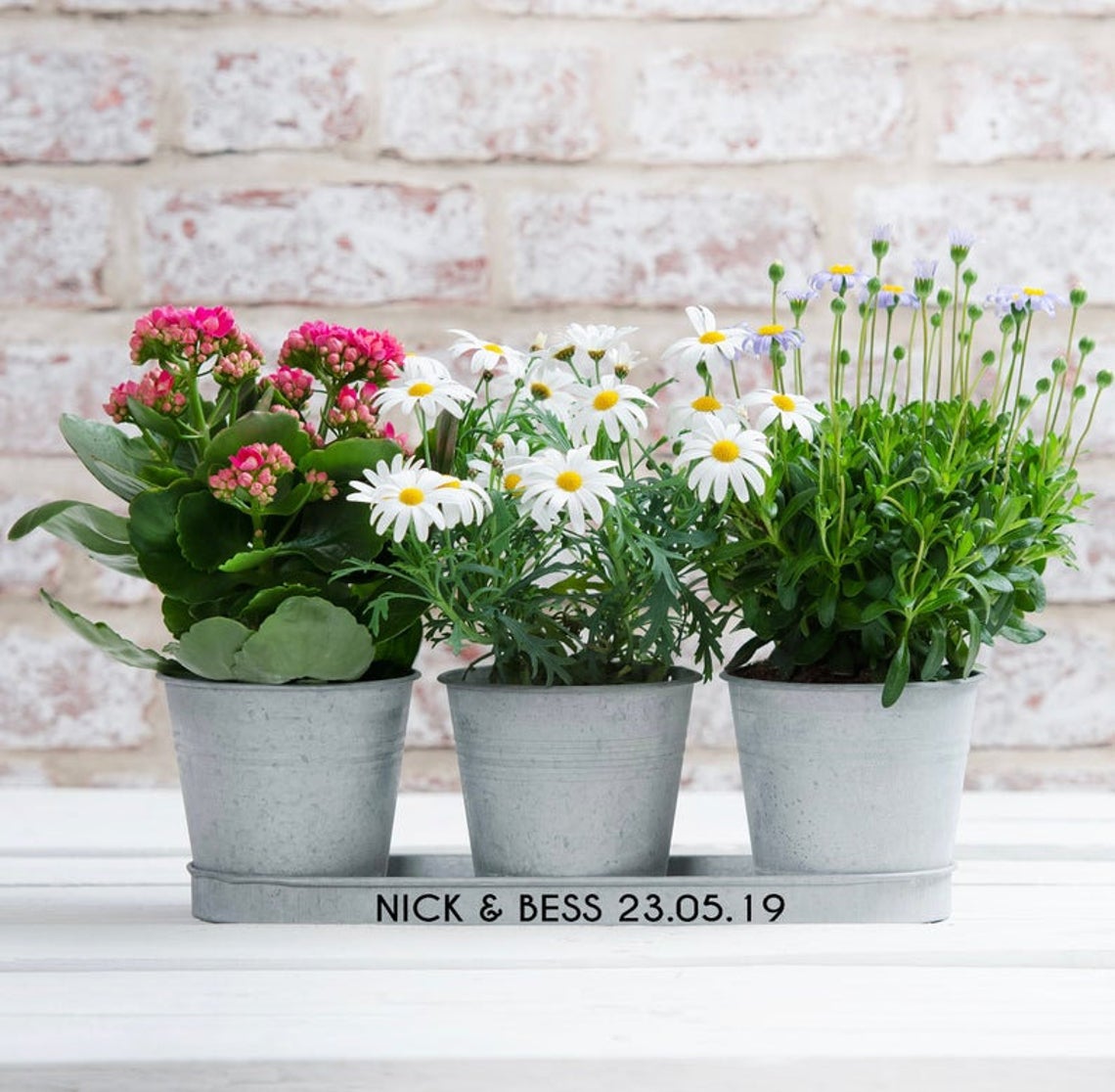 Tin Bucket Planters