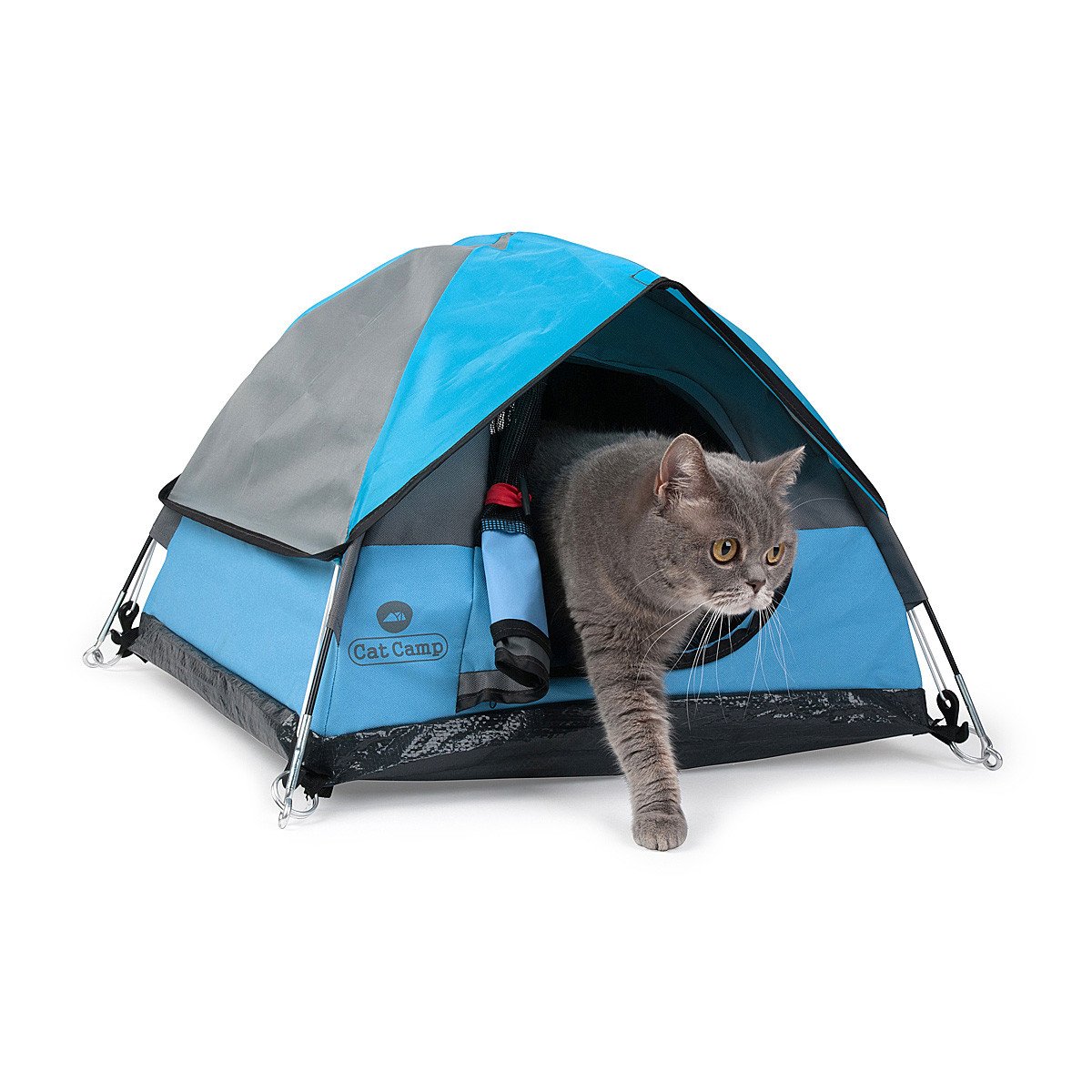 Tiny Tent for Indoor Cats