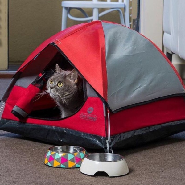 Tiny Tent for Indoor Cats