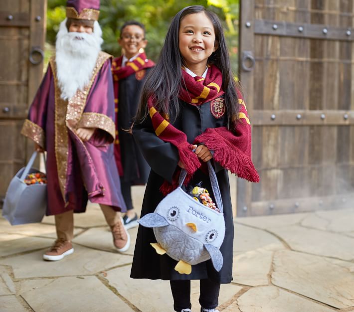 Toddler Gryffindor Costume