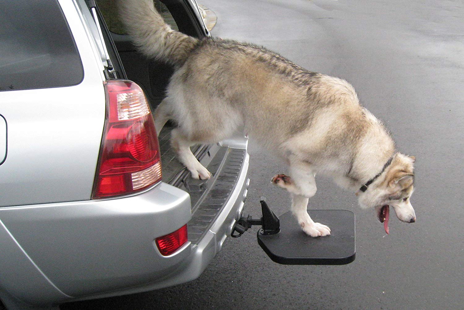 Twistep Dog Car Hitch Step