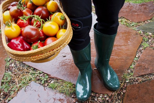 UGG Women's rain Boots