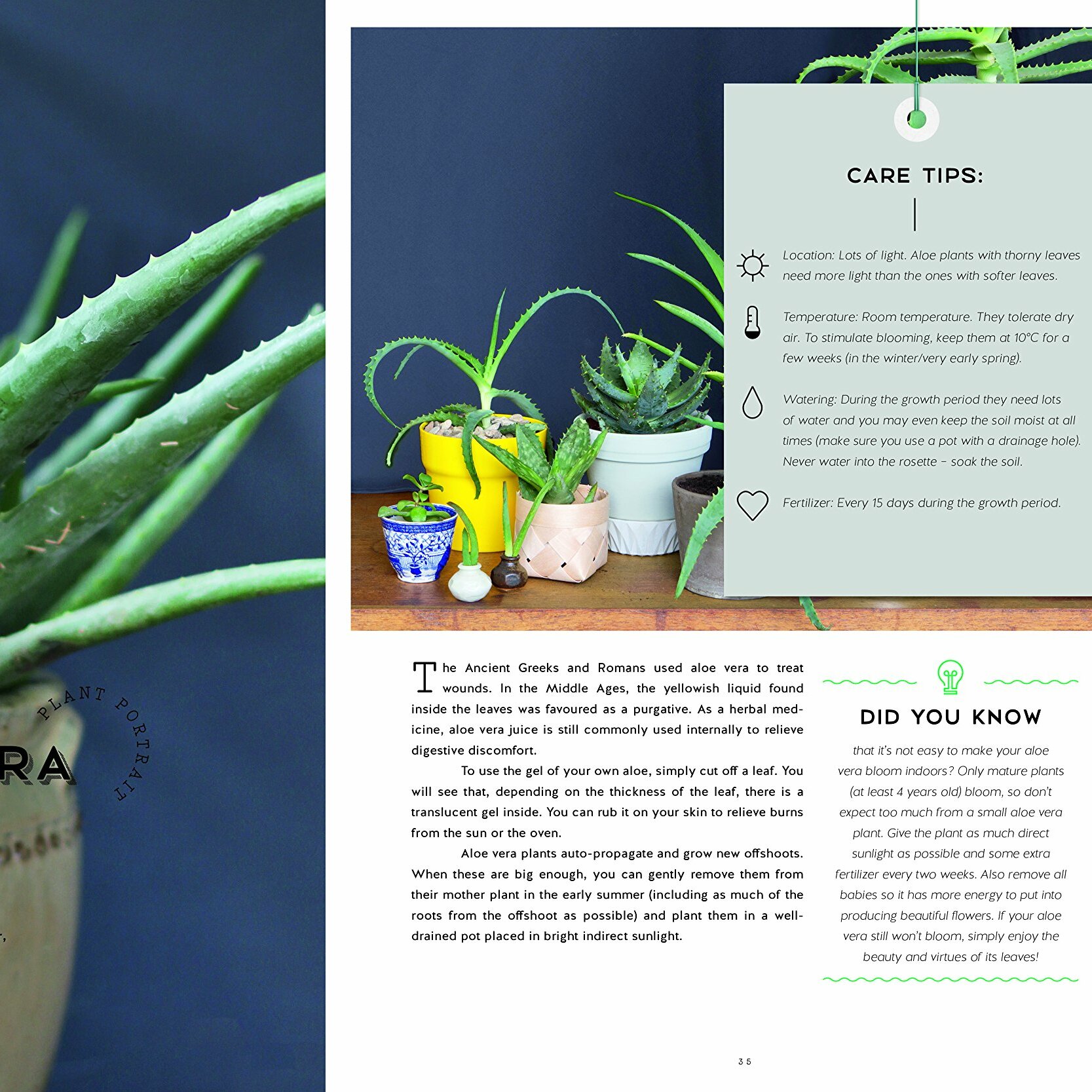 Urban Jungle: Living and Styling with Plants