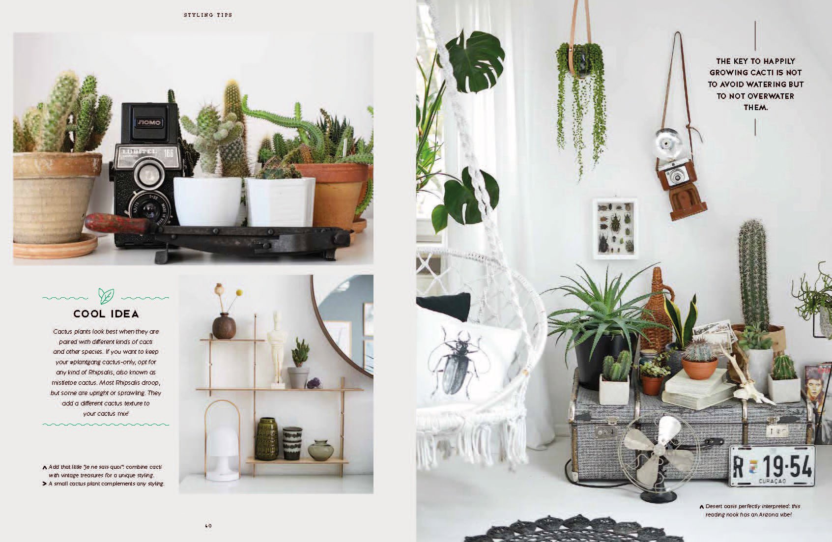 Urban Jungle: Living and Styling with Plants