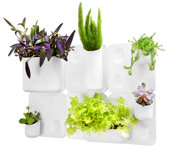 Urban Vertical Garden