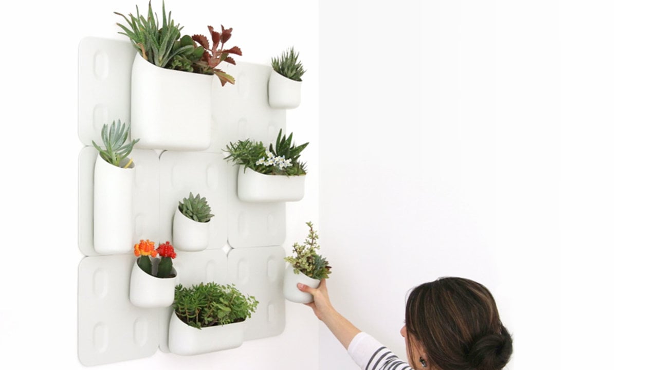 Urban Vertical Garden